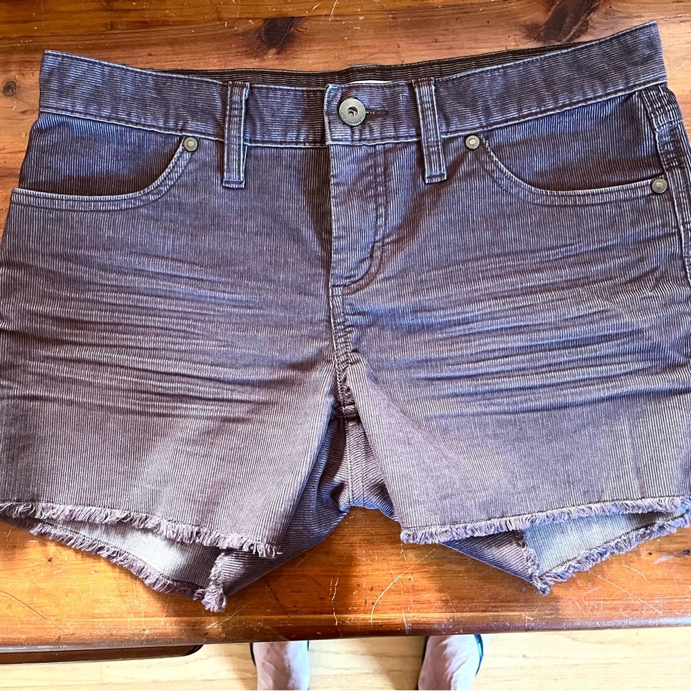 Title Nine Carve Designs Dogtown shorts in “bark” size 0 NWOT